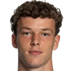 西蒙·维尔瓦克头像