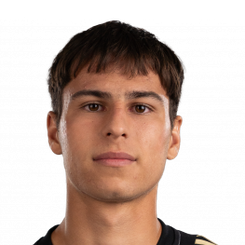 多米尼克·卢泽茨基头像