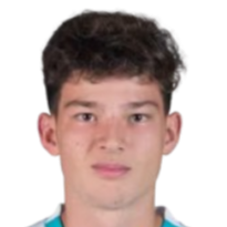 诺亚·杜邦头像