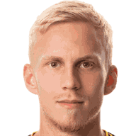 古斯塔夫·赫定头像