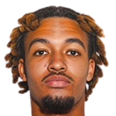 丹·西纳特头像