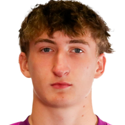 托比亚斯·塞夫西克头像