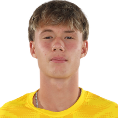 亚历山大·格洛迪安头像