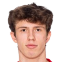 尼古拉斯·沃斯伯格头像