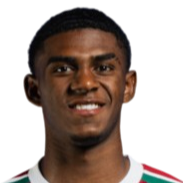 华莱士·戴维头像