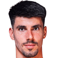 迪巴特·德斯梅特头像