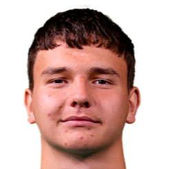 萨沃·拉达诺维奇头像