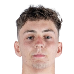 斯特凡诺维奇头像