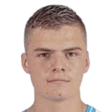 勒皮罗内克头像