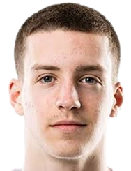 多米尼克·巴比奇头像