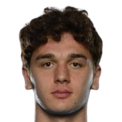 尼科洛兹·乌格雷赫利泽头像