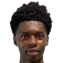 阿尔福森·德拉梅头像