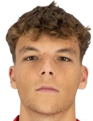 西奥·福尔加多头像