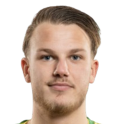 达利安·兰布林头像