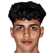 米兰·罗基头像