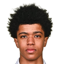 维克托·奥兹安武纳头像