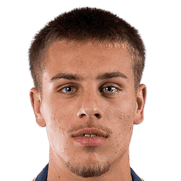 陶·帕拉多夫斯基头像