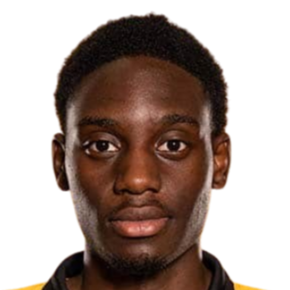 达尼·安赫尔头像