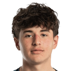 斯奈德·布鲁内尔头像