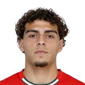 吉列尔梅·马蒂纽·佩索托头像