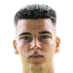 A. 伊布里西莫维奇头像