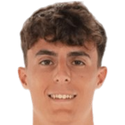 亚历杭德罗·弗朗西斯头像