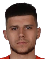 弗拉迪米尔·托克维奇头像