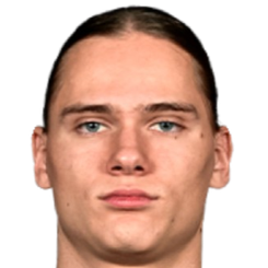 亚历山大·科克沙罗夫头像