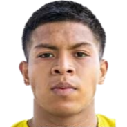 蒂亚戈·萨利纳斯头像