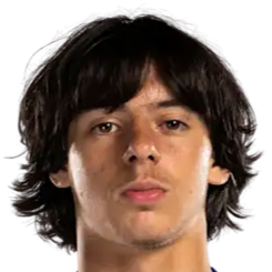 易卜拉欣·拉巴杰头像