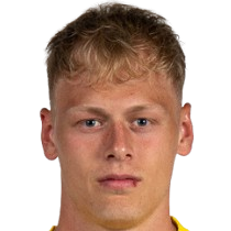 卢卡斯·霍尼切克头像