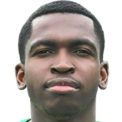 赖斯·查尔斯·库克头像