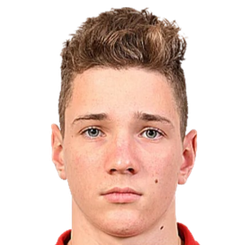 丹尼尔·普洛特尼科夫头像