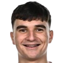 安迪·帕拉斯基夫头像