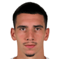 阿尔丁·泽奇里头像