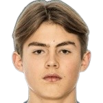 扎卡里亚斯·拉维克头像