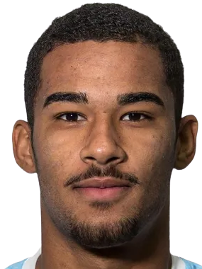 维克多·拉莫斯头像