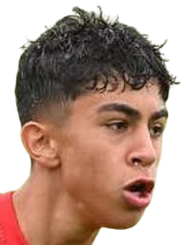 奥古詹·埃尔特姆头像