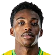 泰瑞斯·奥莫托耶头像