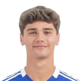 巴勃罗·梅嫩德斯·阿古丁头像