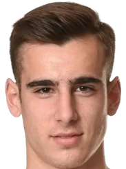 安德里加·拉杜洛维奇头像