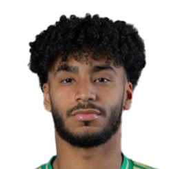 穆罕默德·卡尔尼头像