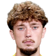 弗拉德·拉伊亚努头像