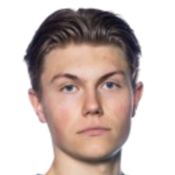 亨利·索莱头像