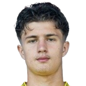 大卫·维乔克头像