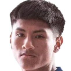 皮耶罗·卡里头像