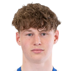 马雷克·哈夫兰头像