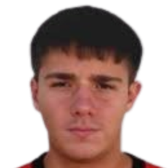 费德里科·多梅尼科尼头像