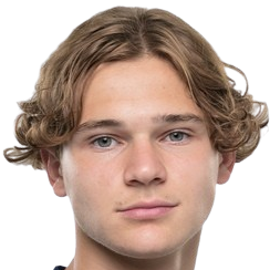  尼古拉·科塞里克头像