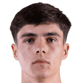 路易斯·勒鲁头像